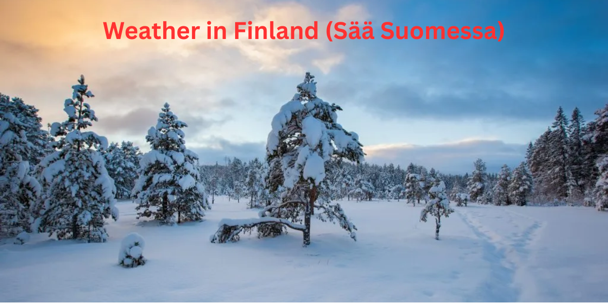The weather in Finland can surprise newcomers with its dramatic seasonal shifts, ranging from polar-style winters to luminous summer nights. Understanding the month-by-month variations is essential for preparing your wardrobe, planning travel, and adjusting to everyday life. This guide breaks down each month so you’ll always know what to expect—whether you’re moving to Finland, studying abroad, or visiting long-term.